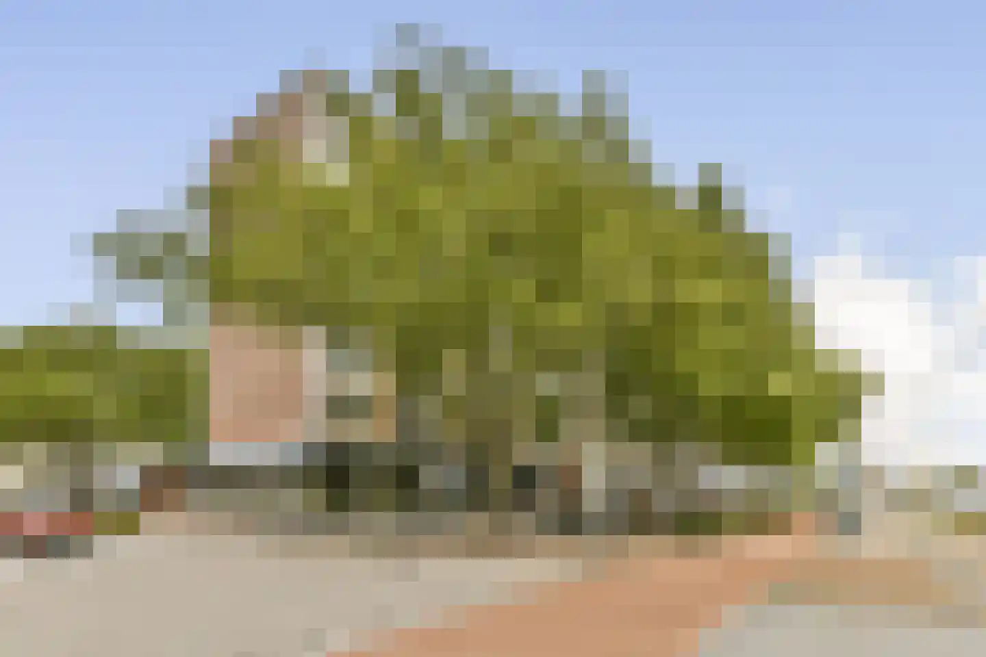 's-Gravelandseweg 636 Schiedam thumbnail 16