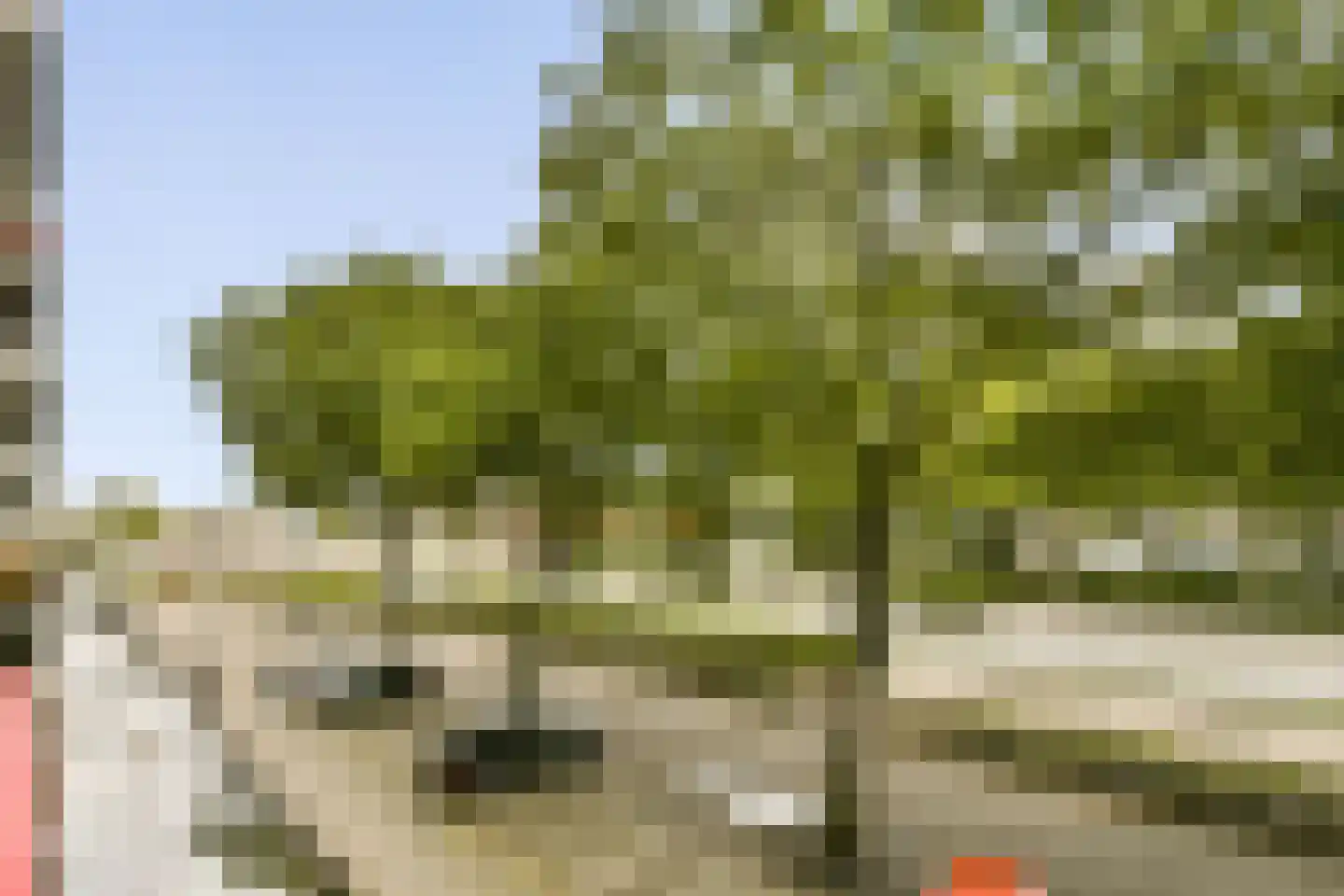 's-Gravelandseweg 636 Schiedam thumbnail 17