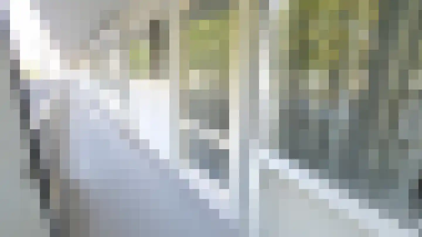 's-Gravelandseweg 642 Schiedam thumbnail 14