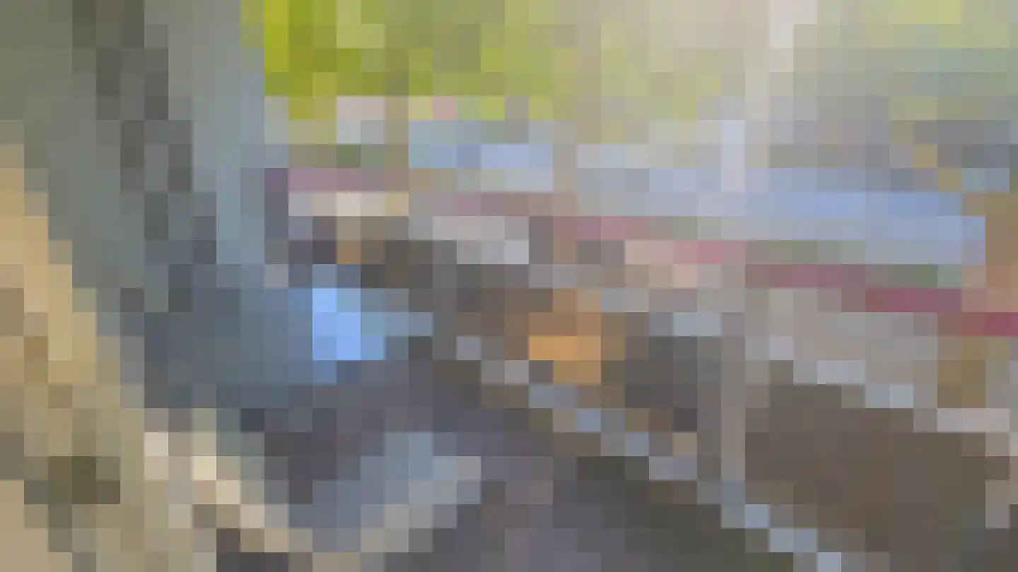 's-Gravelandseweg 642 Schiedam thumbnail 9