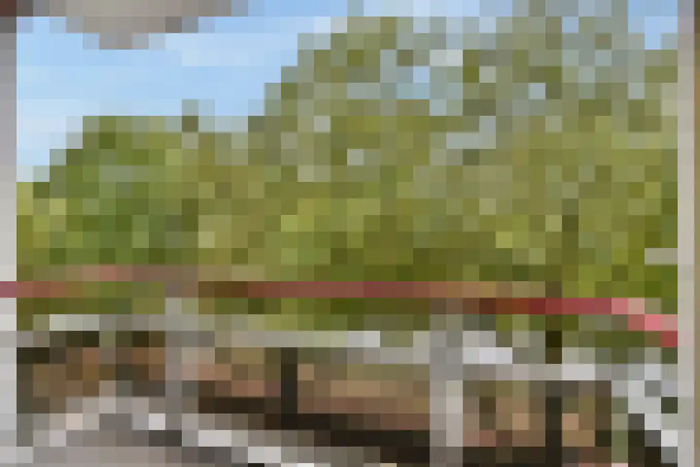 's-Gravelandseweg 690 Schiedam thumbnail 15