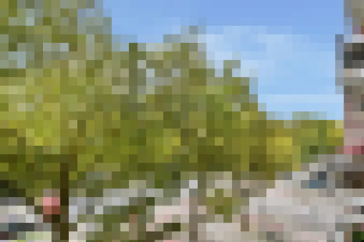 's-Gravelandseweg 690 Schiedam thumbnail 16
