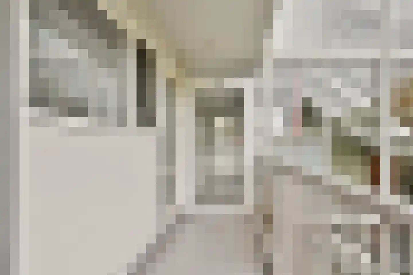 's-Gravelandseweg 690 Schiedam thumbnail 19