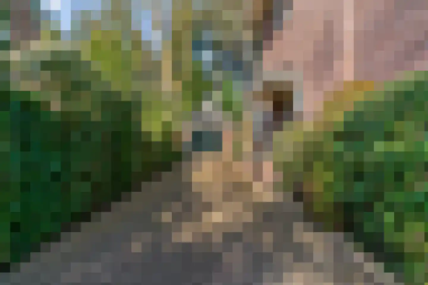 's-Gravelandseweg 82 B Hilversum thumbnail 56