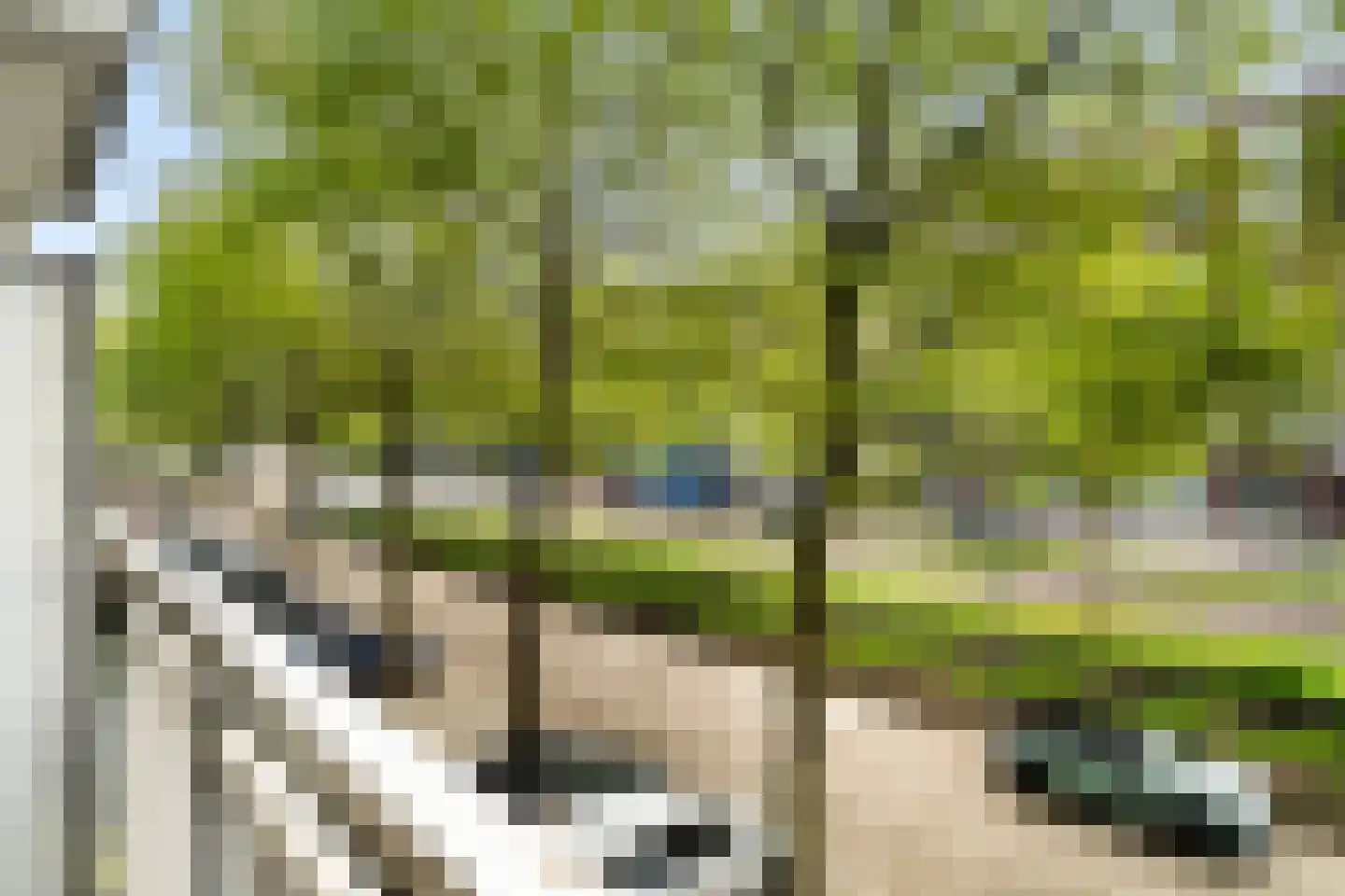 's-Gravelandseweg 822 Schiedam thumbnail 27
