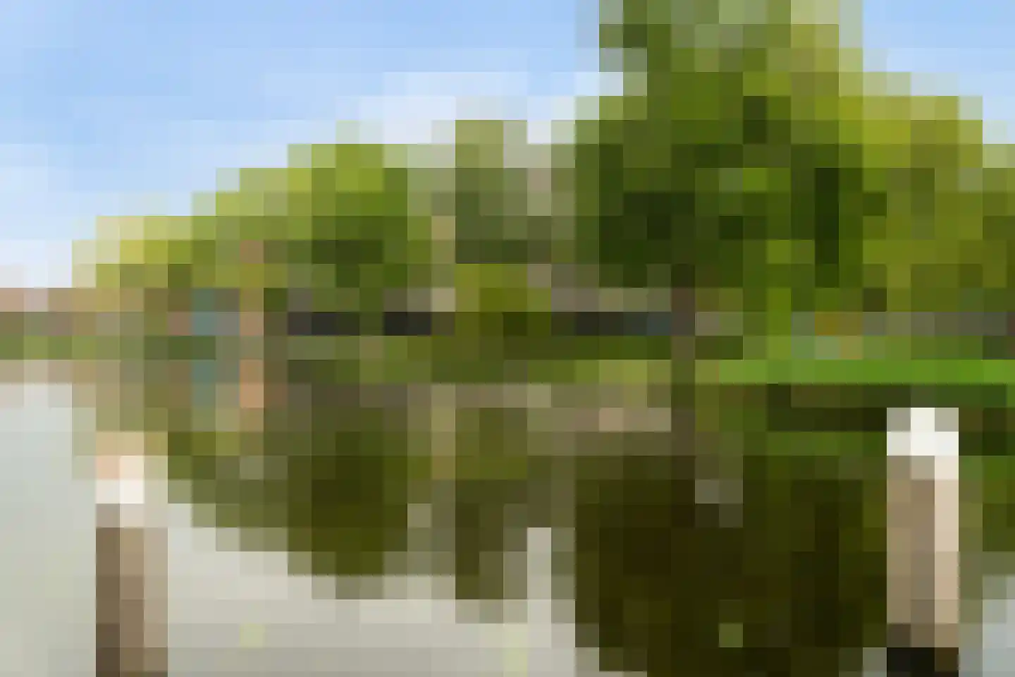 's-Gravelandseweg 822 Schiedam thumbnail 32
