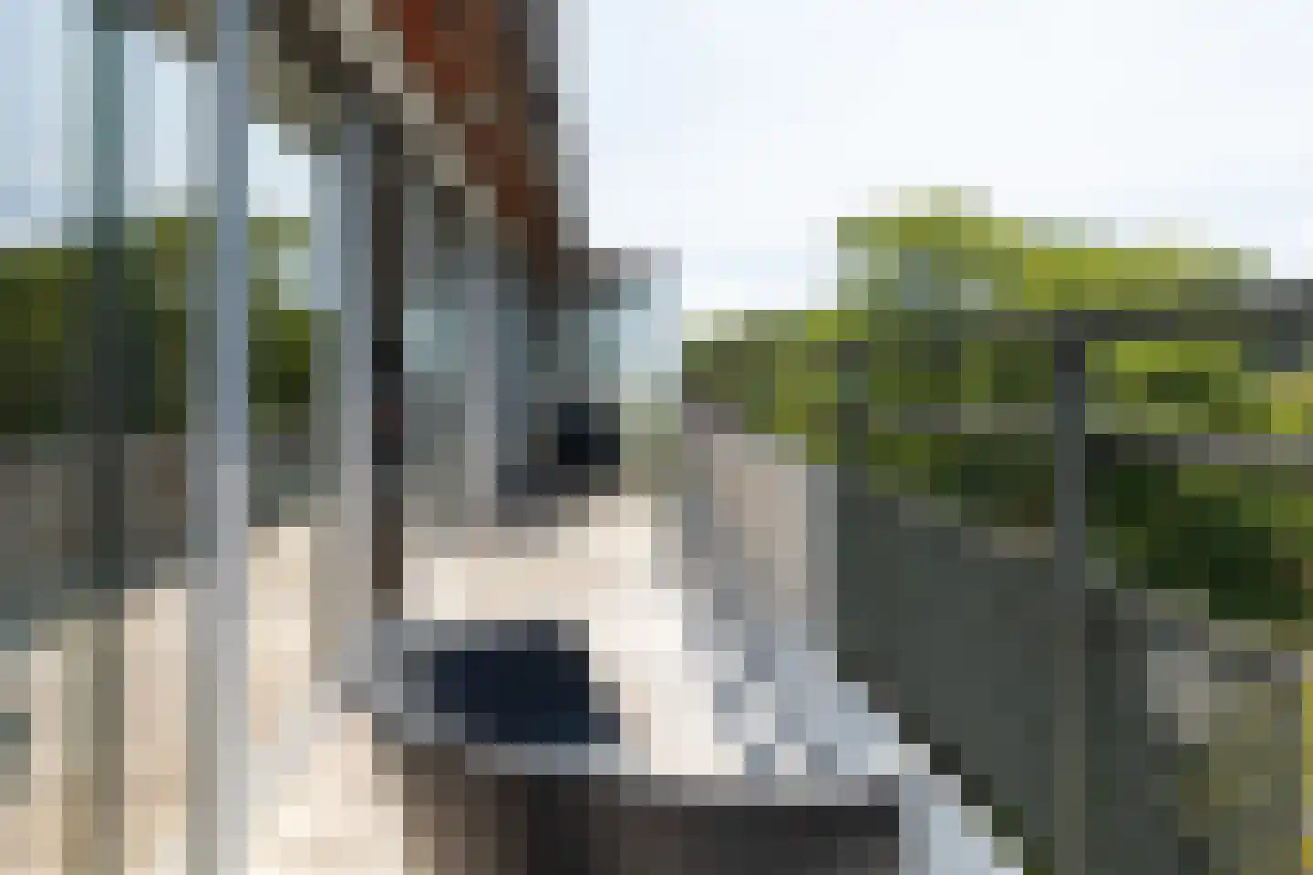 's-Gravelandseweg 86 15 Hilversum thumbnail 34