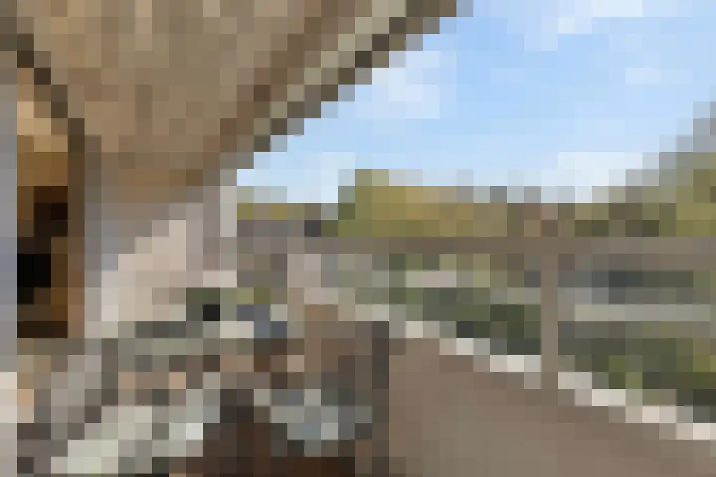 's-Gravelandseweg 86 47 Hilversum thumbnail 9