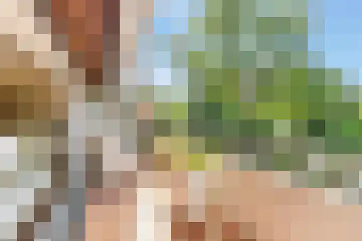's-Gravelandseweg 86 49 Hilversum thumbnail 16