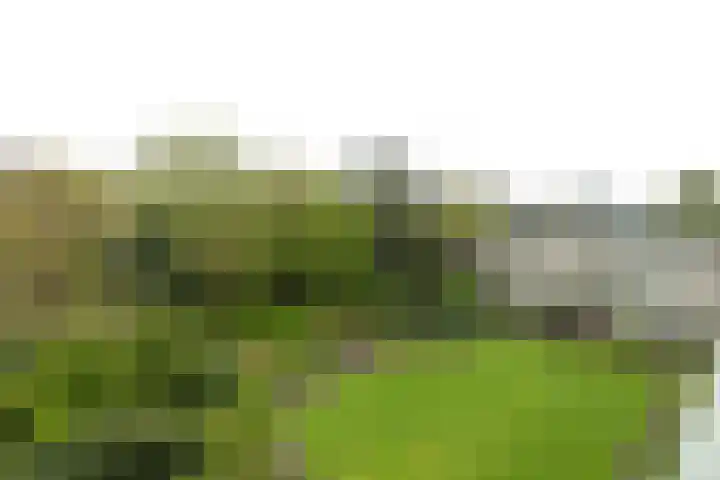 's-Gravelandseweg 86 49 Hilversum thumbnail 30