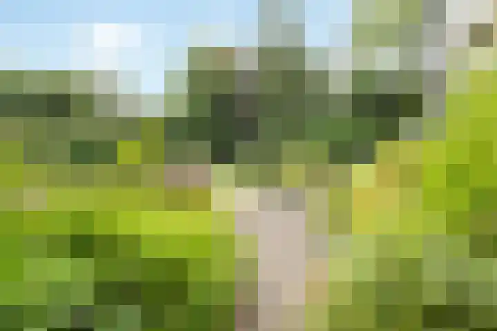 's-Gravelandseweg 86 49 Hilversum thumbnail 31