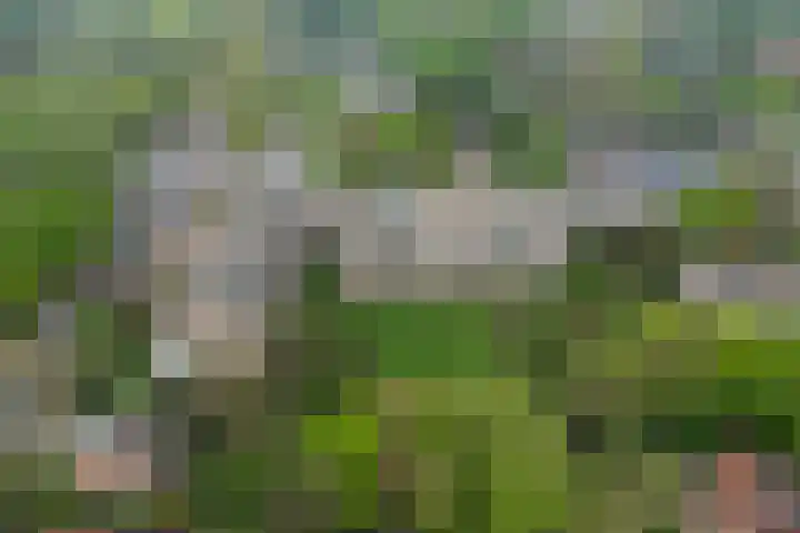 's-Gravelandseweg 86 49 Hilversum thumbnail 31