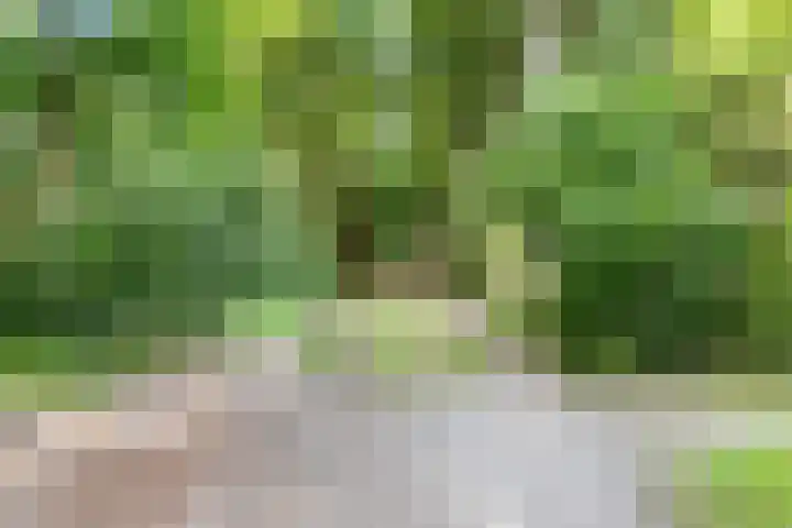 's-Gravelandseweg 86 49 Hilversum thumbnail 33