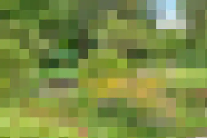 's-Gravelandseweg 86 49 Hilversum thumbnail 5