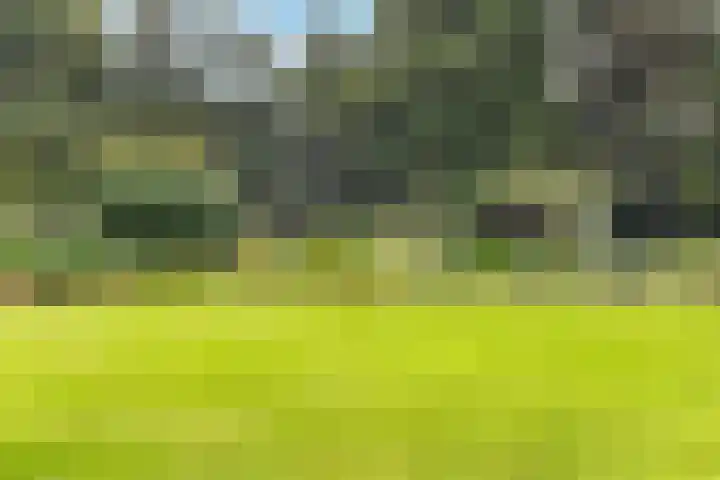 's-Gravelandseweg 86 49 Hilversum thumbnail 6