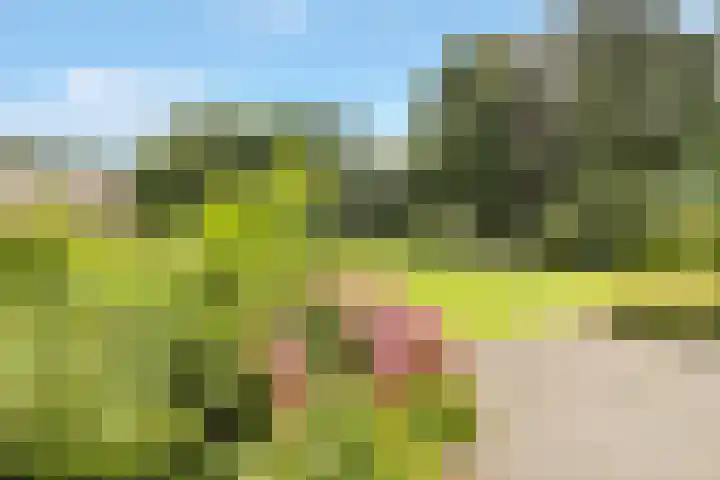 's-Gravelandseweg 86 49 Hilversum thumbnail 7