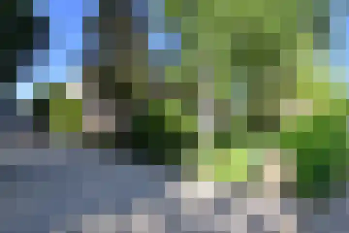 's-Gravelandseweg 87 A Hilversum thumbnail 18