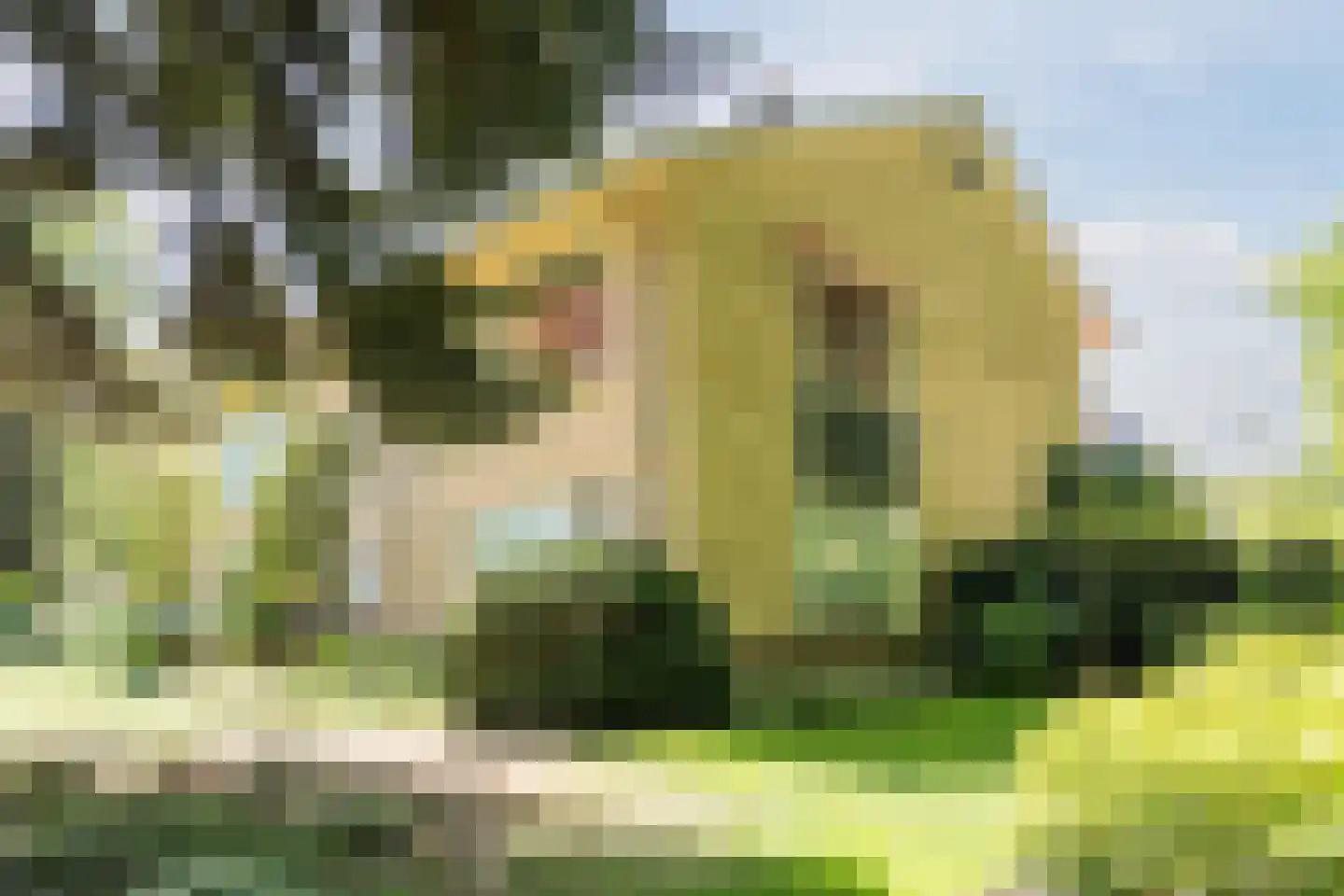 's-Gravelandseweg 87 C Hilversum thumbnail 52