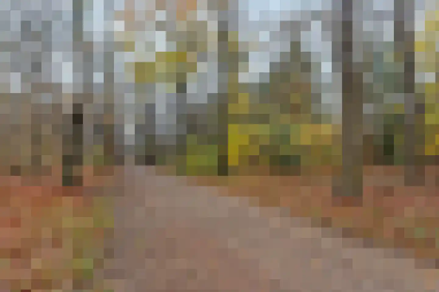 's-Gravelandseweg 90 Hilversum thumbnail 34