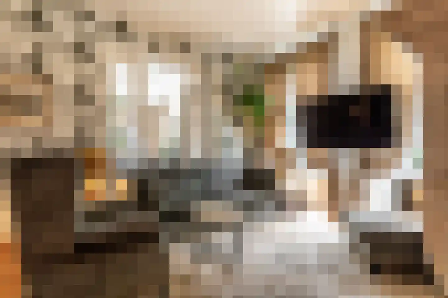 's-Gravenbroekseweg 1 Reeuwijk thumbnail 15