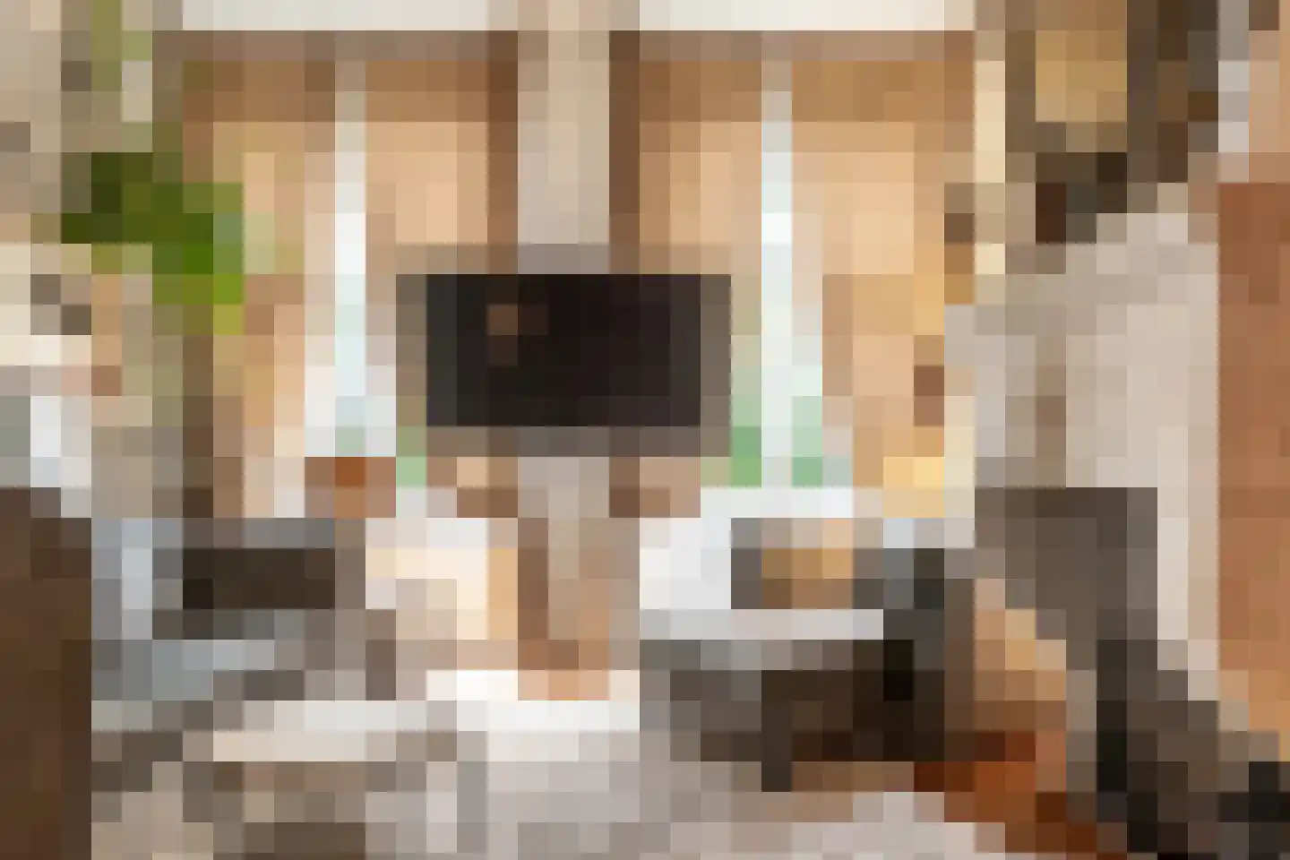 's-Gravenbroekseweg 1 Reeuwijk thumbnail 16