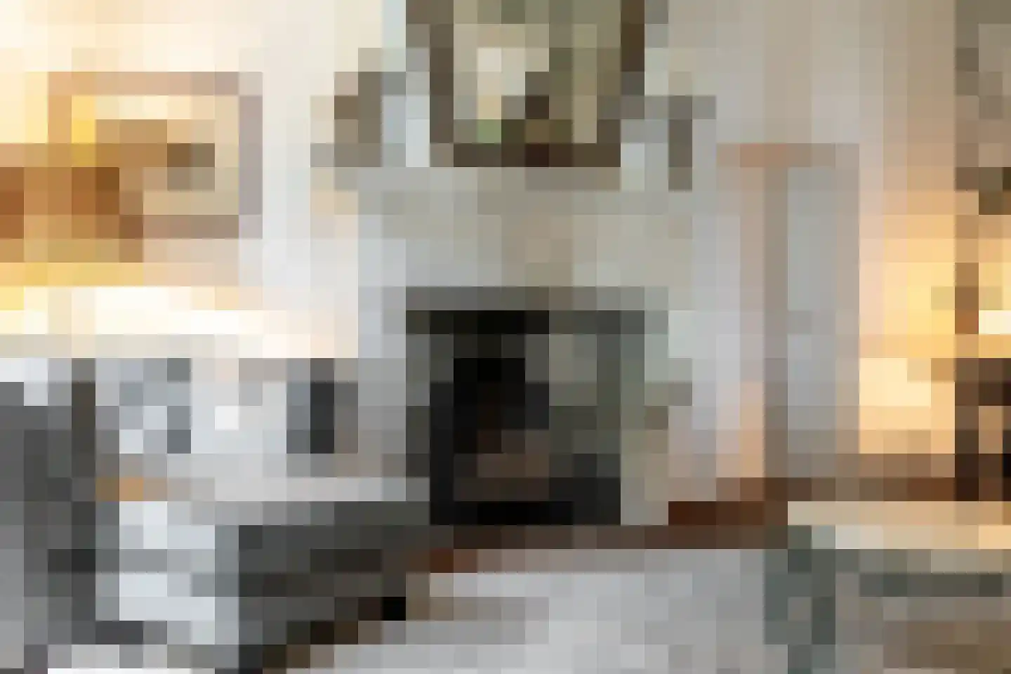 's-Gravenbroekseweg 1 Reeuwijk thumbnail 17