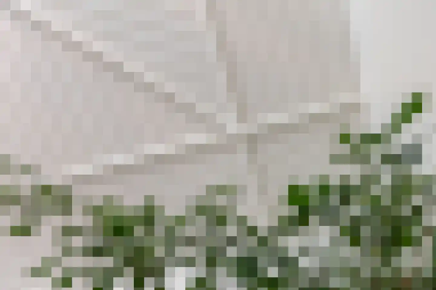 's-Gravenbroekseweg 1 Reeuwijk thumbnail 25