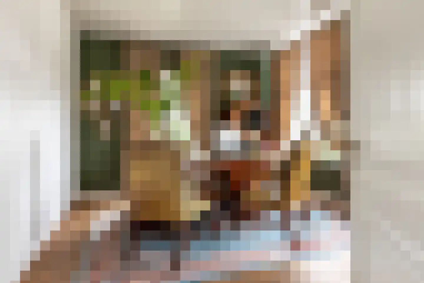 's-Gravenbroekseweg 1 Reeuwijk thumbnail 27