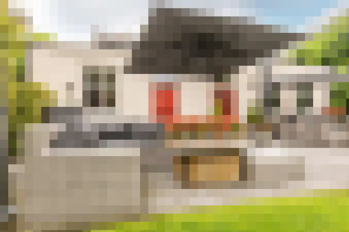 's-Gravenbroekseweg 1 Reeuwijk thumbnail 63