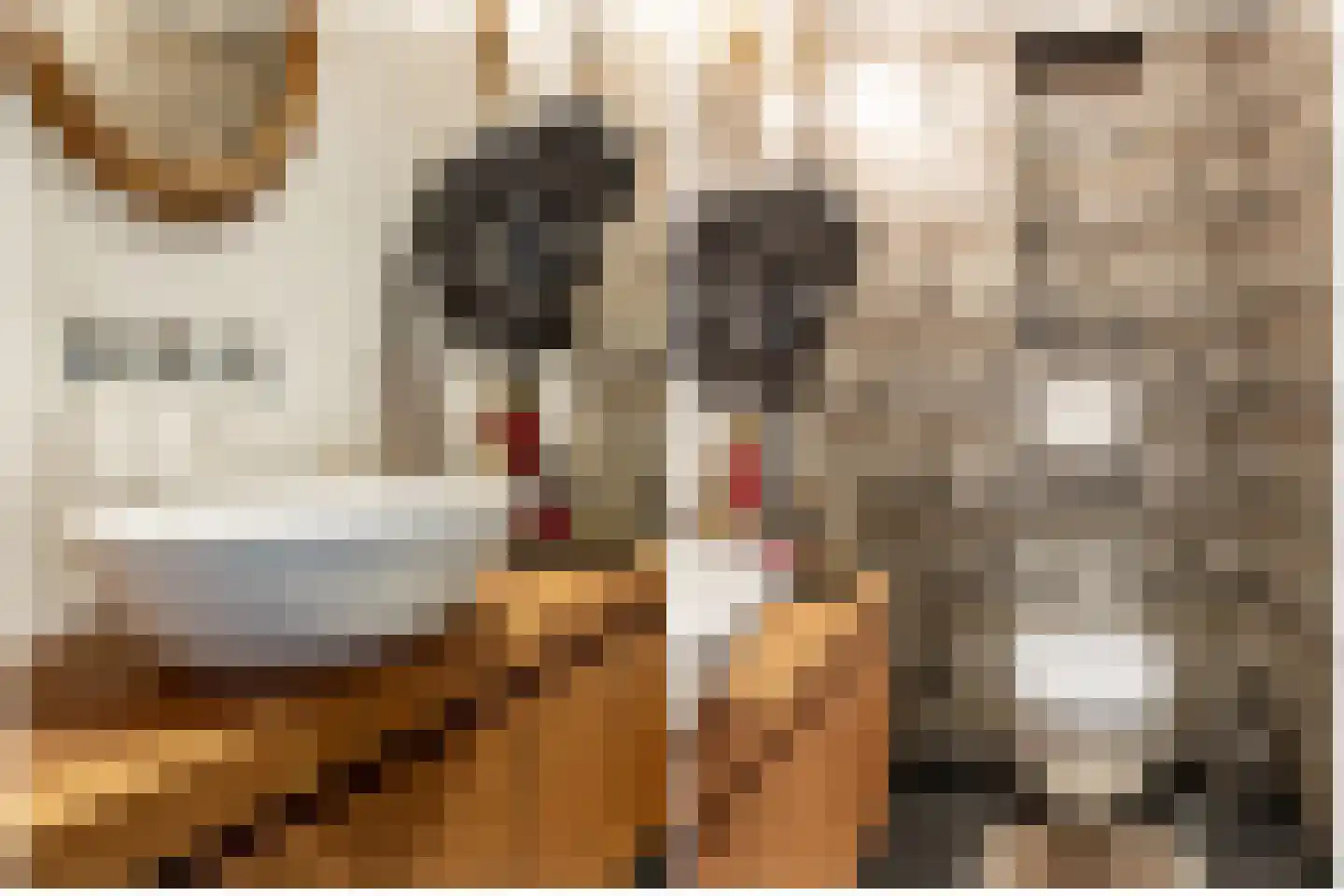 's-Gravenbroekseweg 1 Reeuwijk thumbnail 9