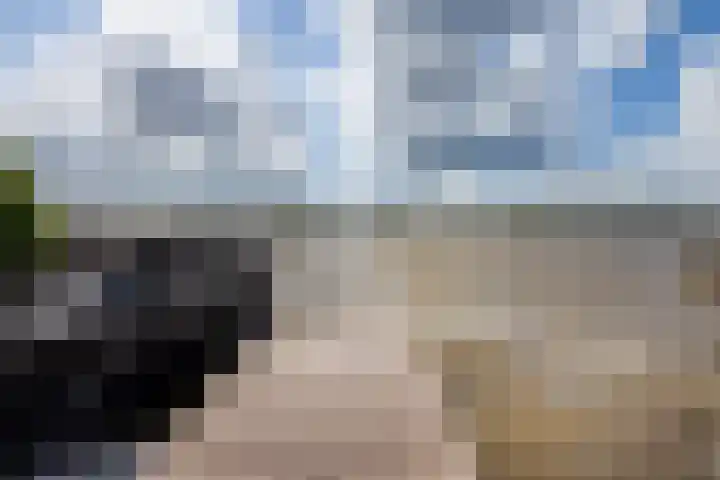 's-Gravenbroekseweg 138 Reeuwijk thumbnail 47