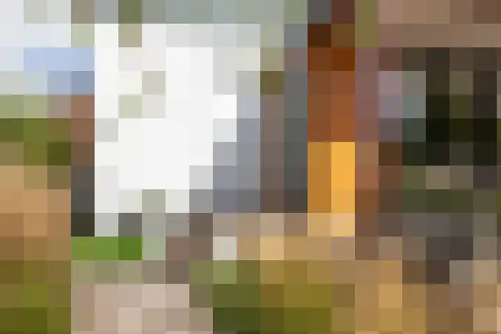 's-Gravenbroekseweg 138 Reeuwijk thumbnail 48