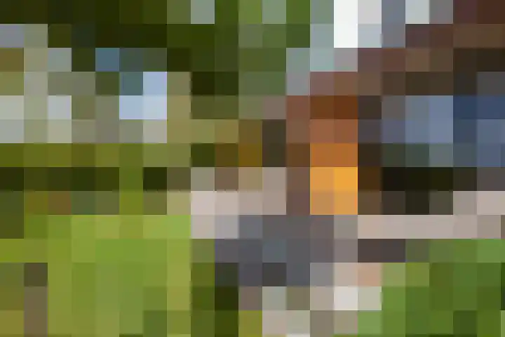 's-Gravenbroekseweg 138 Reeuwijk thumbnail 50