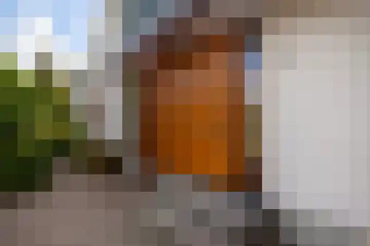 's-Gravenbroekseweg 138 Reeuwijk thumbnail 8
