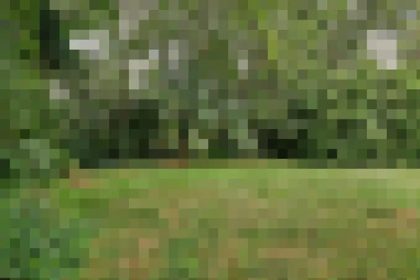 's-Gravenbroekseweg 152 Reeuwijk thumbnail 10