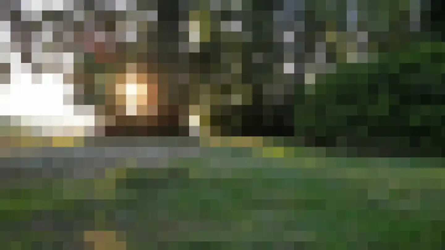 's-Gravenbroekseweg 152 Reeuwijk thumbnail 13