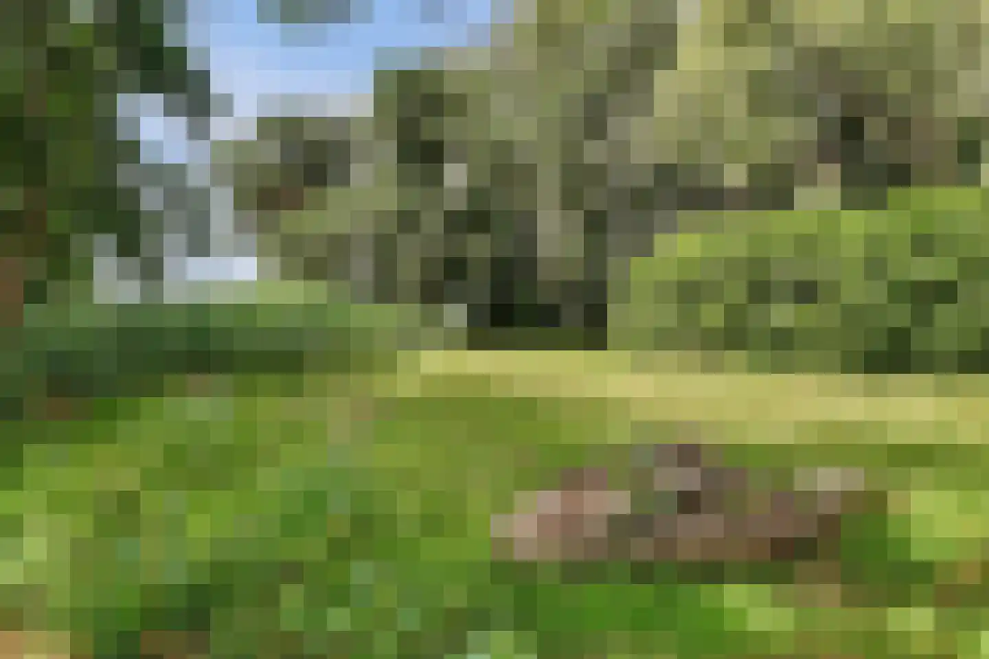 's-Gravenbroekseweg 152 Reeuwijk thumbnail 7