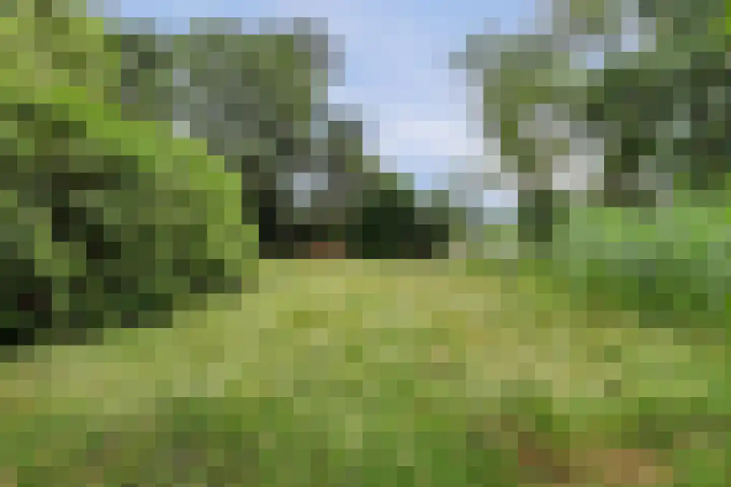 's-Gravenbroekseweg 152 Reeuwijk thumbnail 8