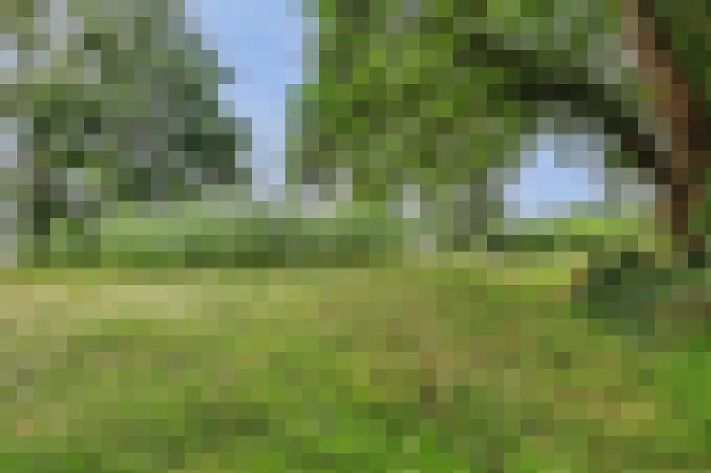 's-Gravenbroekseweg 152 Reeuwijk thumbnail 9