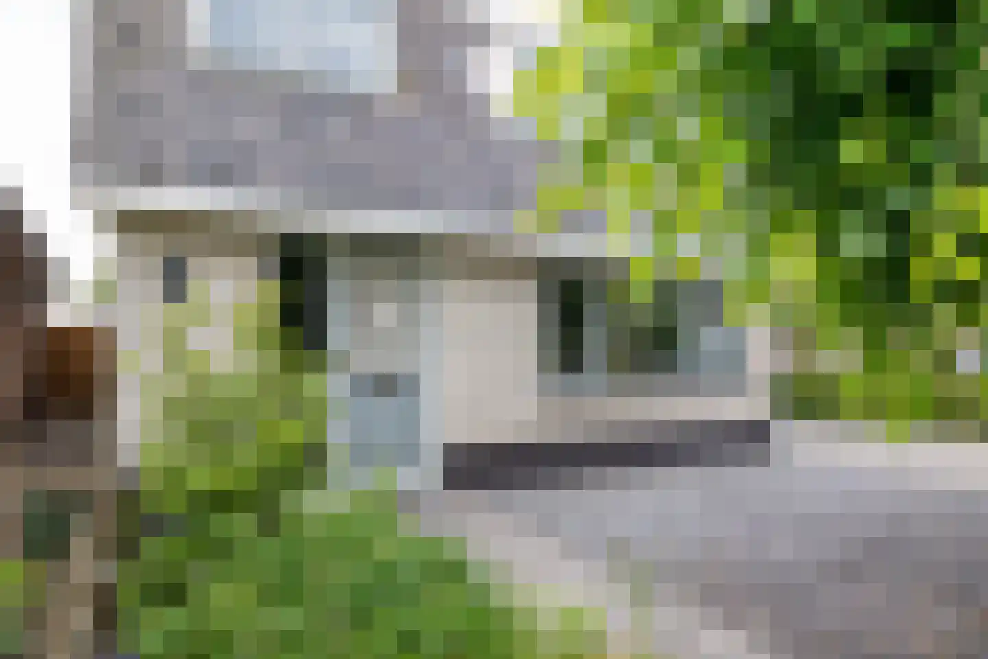 's-Gravenbroekseweg 20 Reeuwijk thumbnail 11