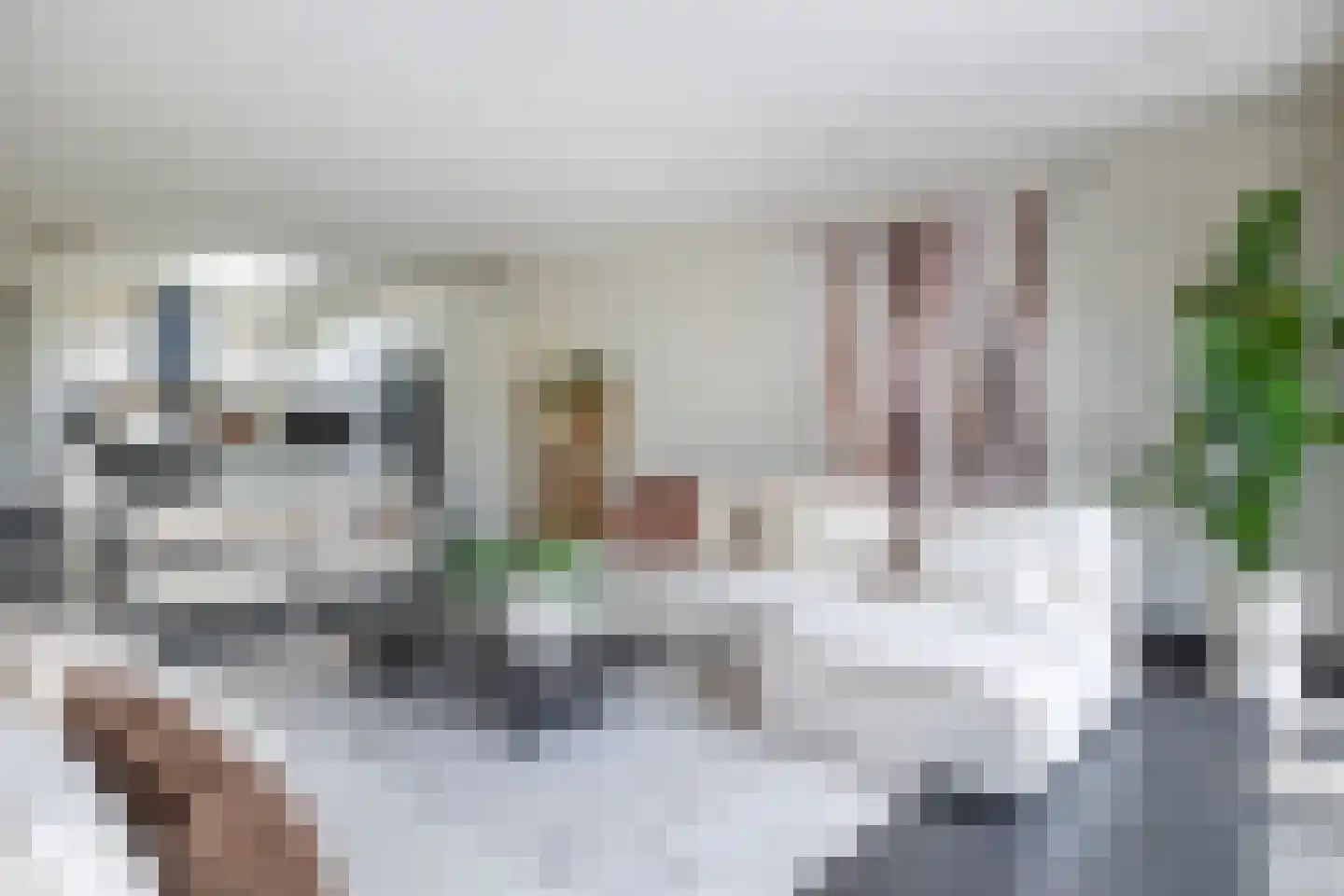 's-Gravenbroekseweg 20 Reeuwijk thumbnail 30