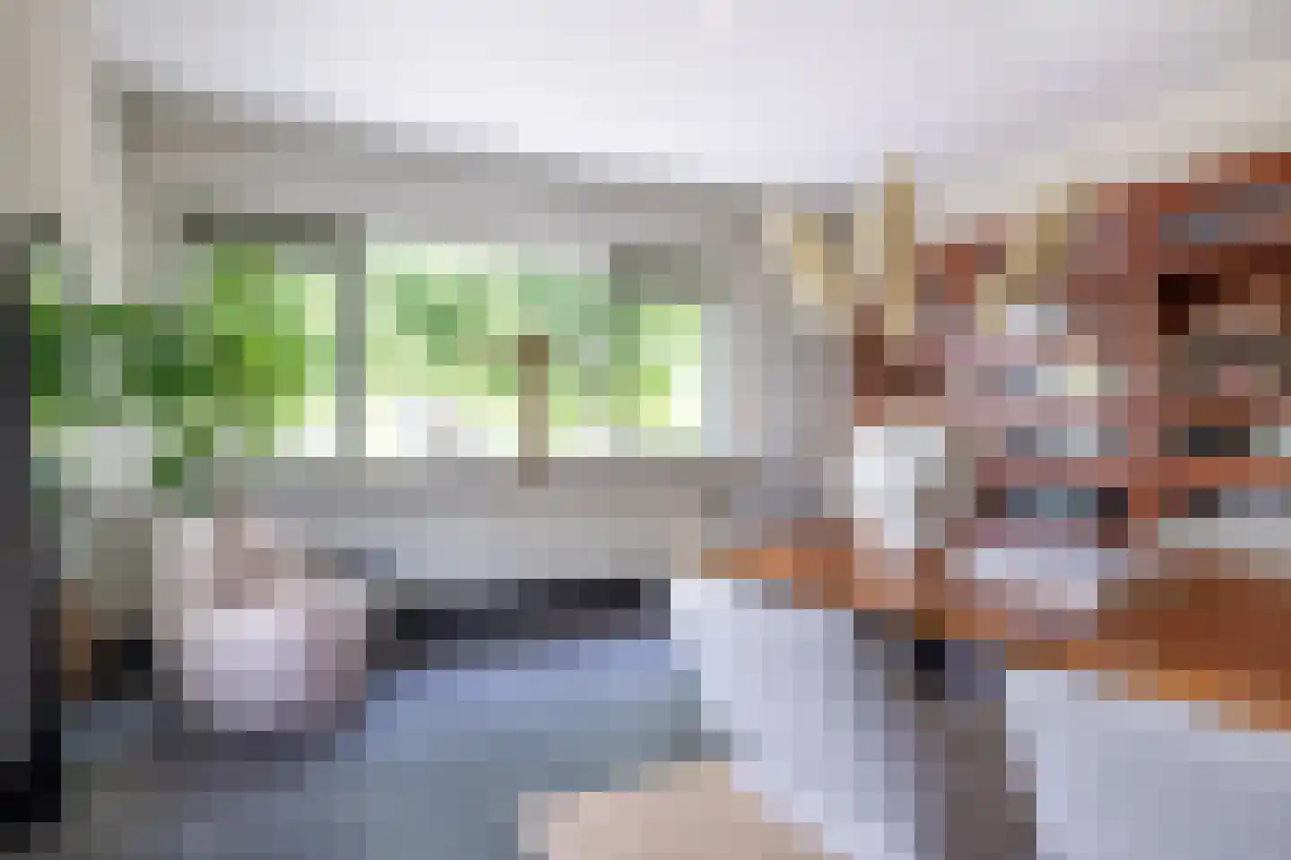 's-Gravenbroekseweg 20 Reeuwijk thumbnail 59