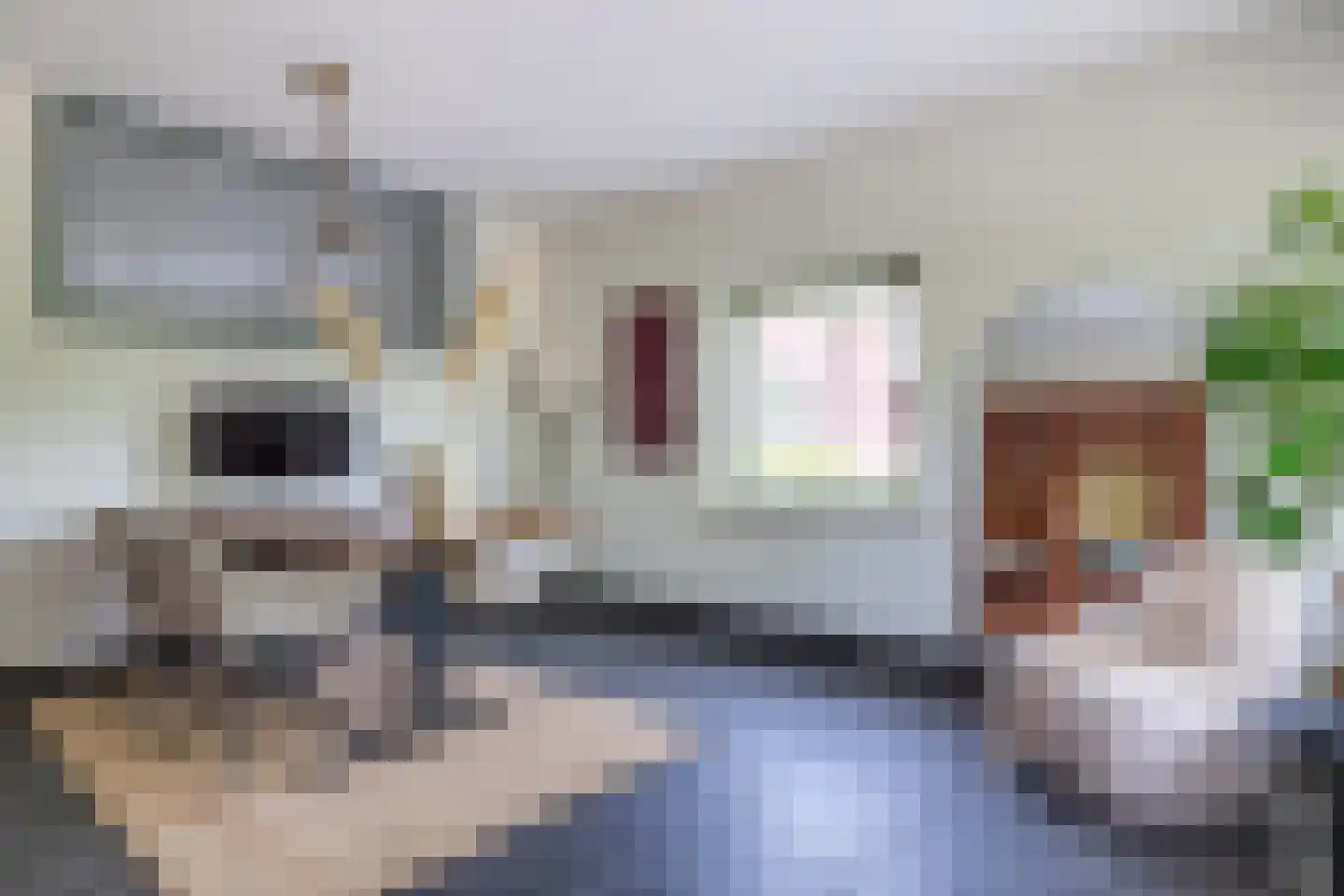 's-Gravenbroekseweg 20 Reeuwijk thumbnail 60