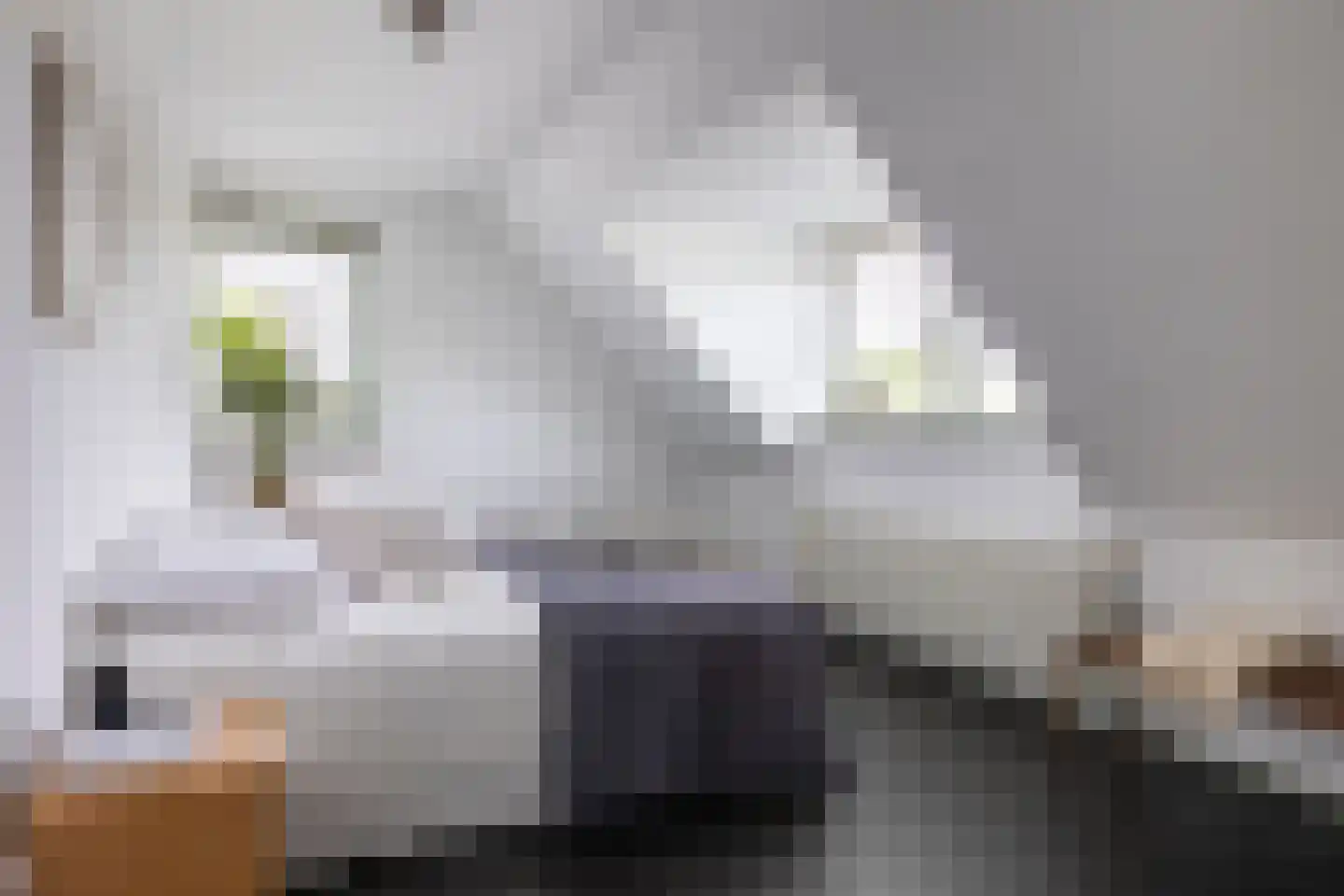 's-Gravenbroekseweg 20 Reeuwijk thumbnail 64