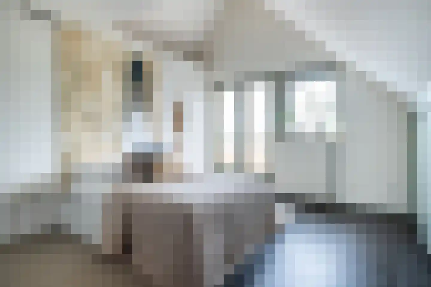 's-Gravenbroekseweg 20 Reeuwijk thumbnail 67
