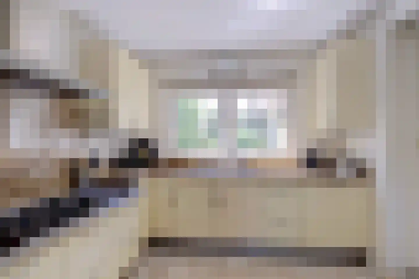 's-Gravenbroekseweg 29 Reeuwijk thumbnail 4