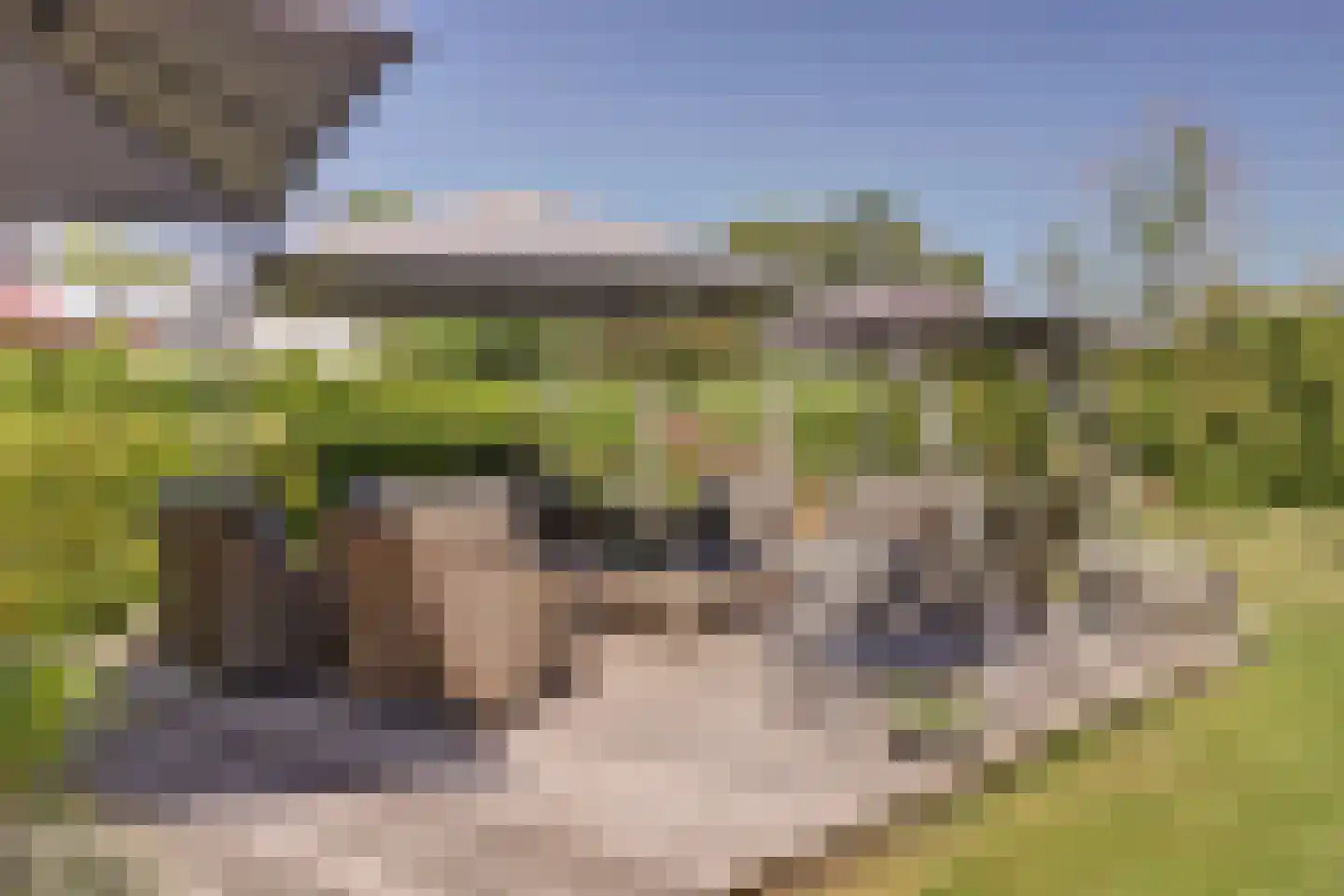 's-Gravenbroekseweg 29 Reeuwijk thumbnail 44
