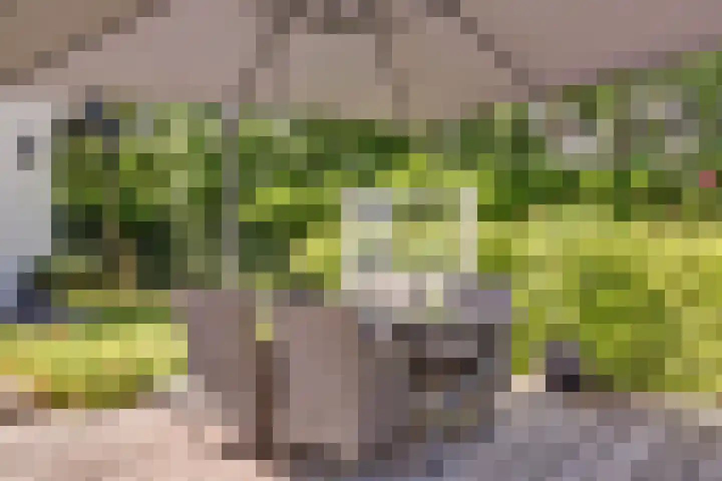 's-Gravenbroekseweg 29 Reeuwijk thumbnail 45