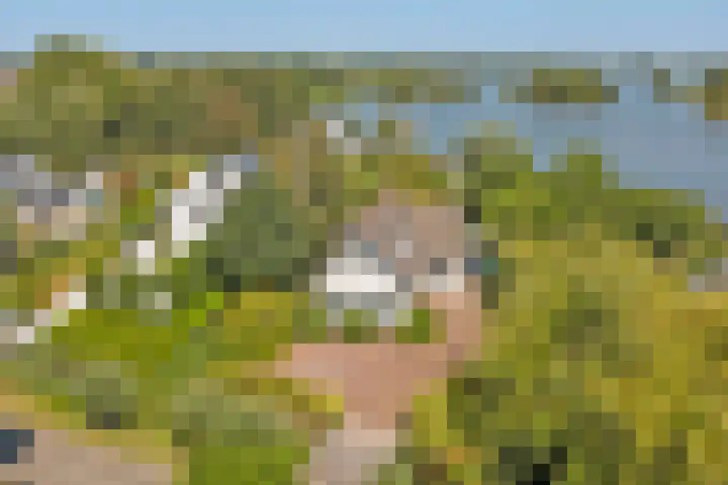 's-Gravenbroekseweg 29 Reeuwijk thumbnail 6