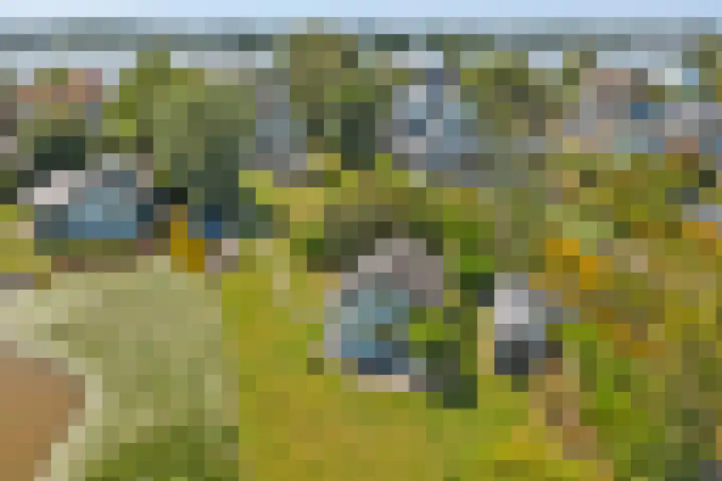 's-Gravenbroekseweg 29 Reeuwijk thumbnail 60
